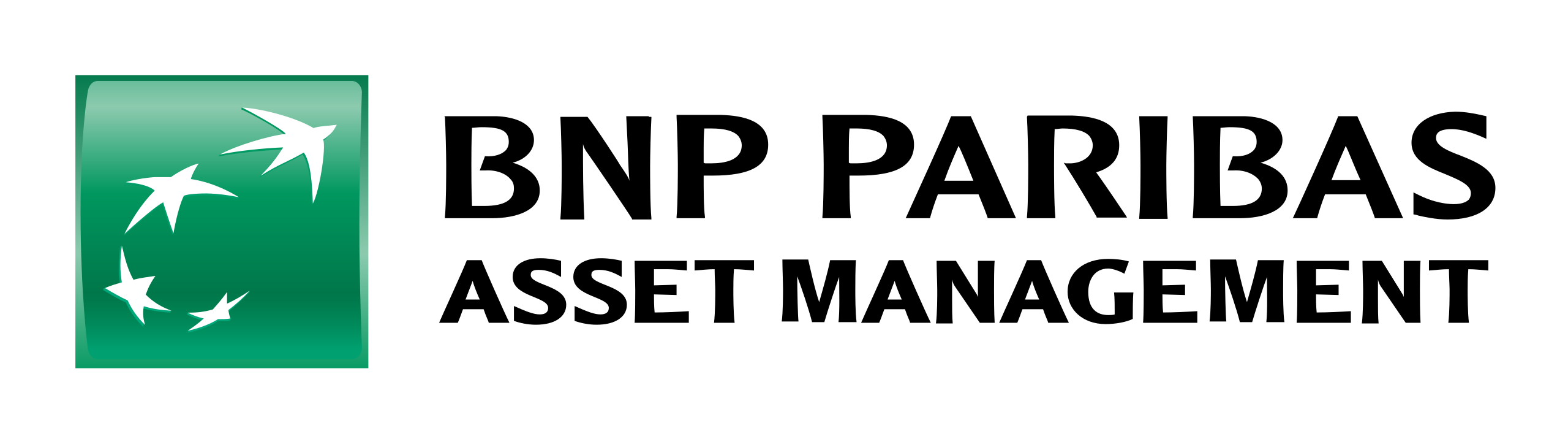 Бнп париб. Логотип парибас. bnp paribas personal finance. ткб bnp paribas investment partners logo. логотип bnp agro.