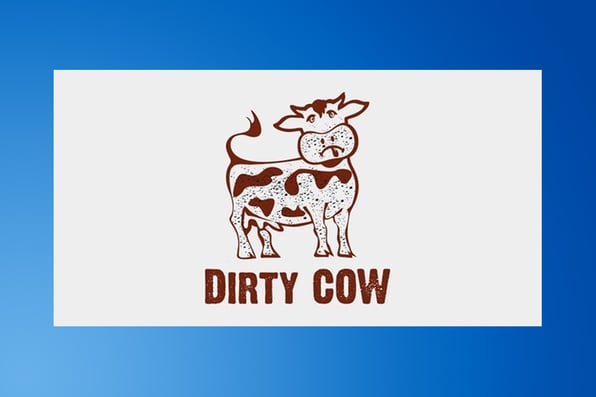 Dirty COW (CVE-2016-5195) statement