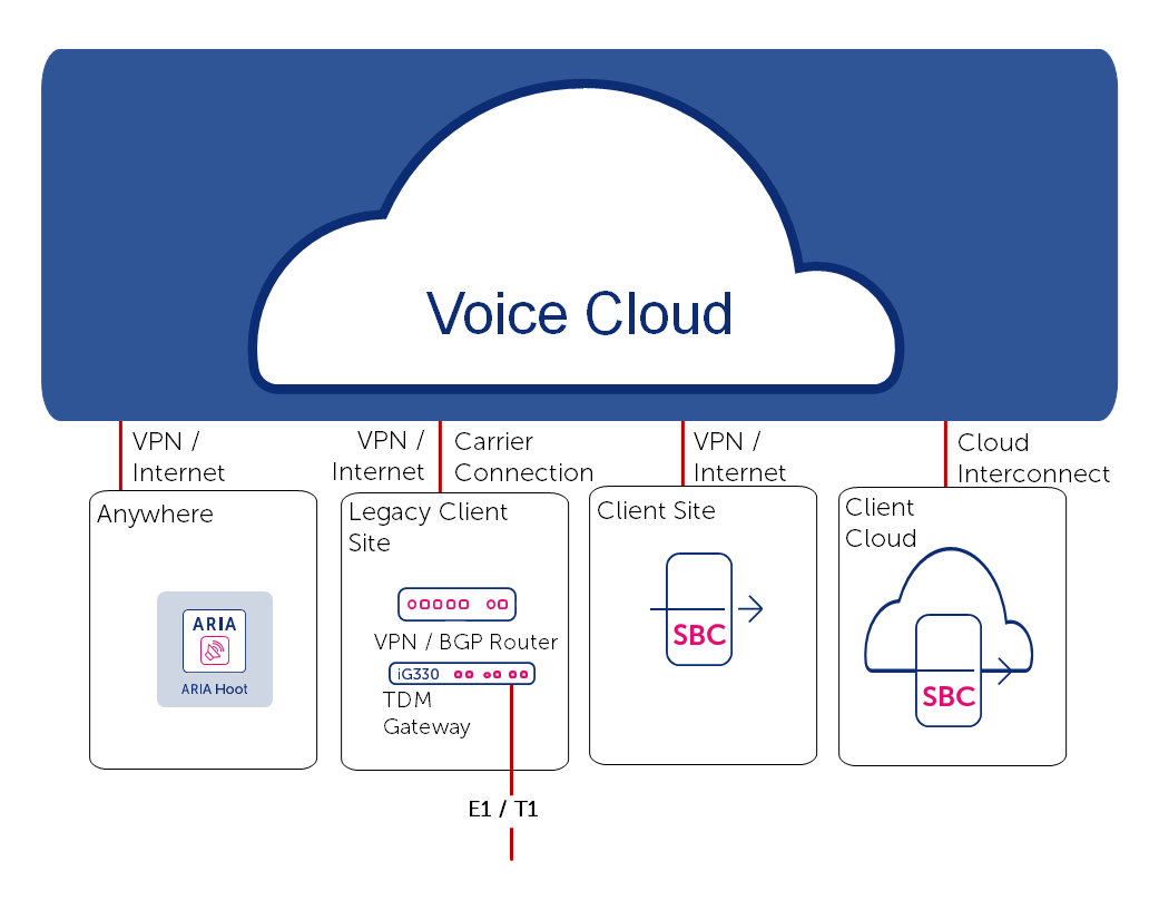 Voice Cloud connection options